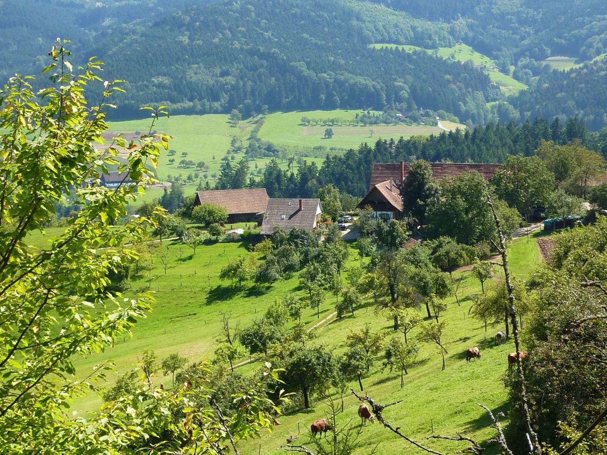 Ferienhaus Eck Целль-ам-Хармерсбах Экстерьер фото