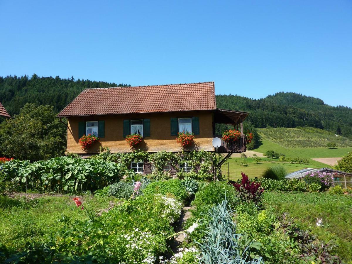 Ferienhaus Eck Целль-ам-Хармерсбах Экстерьер фото